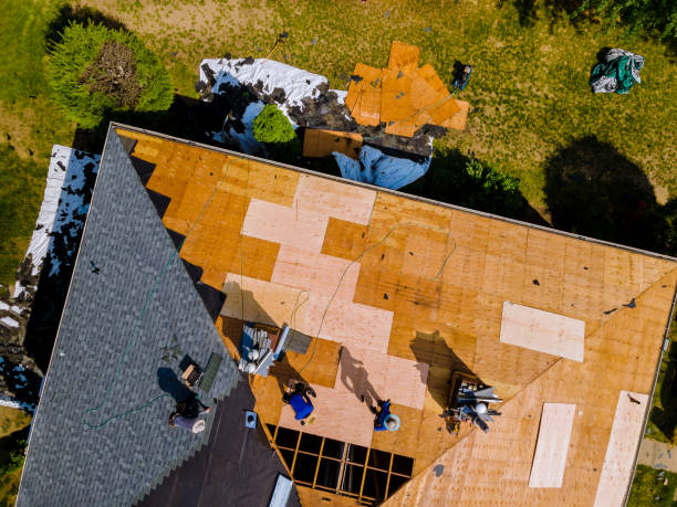 Best Residential Roofing Contractor  in Caryville, TN