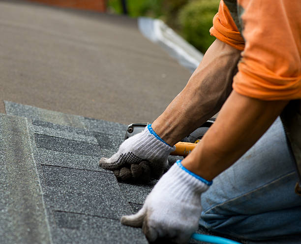 Best Roof Repair Services  in Caryville, TN