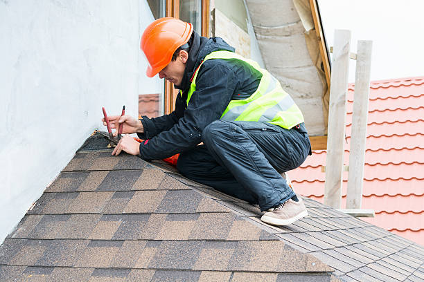 Best Roof Gutter Cleaning  in Caryville, TN